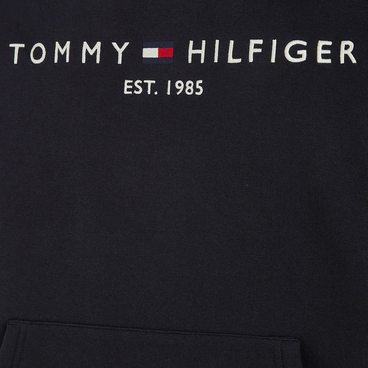 Tommy Hilfiger Core Logo Hood Sky Captain