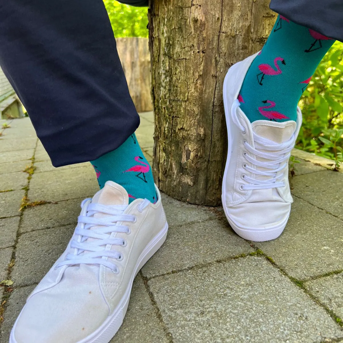 Swole Panda Flamingo Socks Teal