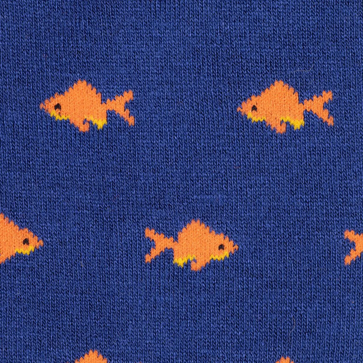 Swole Panda Gold Fish Socks Blue