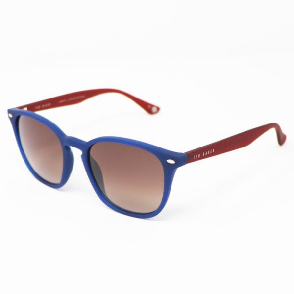 Ted Baker Flemming Sunglasses Blue