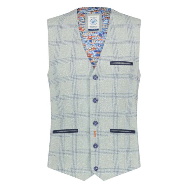 Fish Named Fred Linen WC Grey/Blue Check
