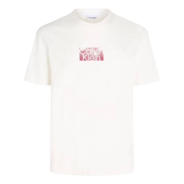 Calvin Klein Cloud Logo T-Shirt White