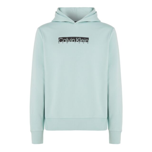 Calvin Klein New York Box Logo Hood Glac