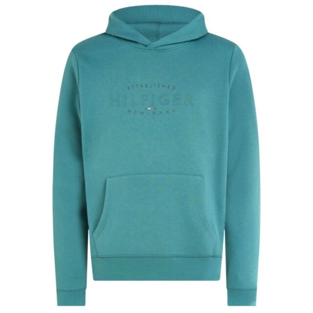 Tommy Hilfiger Curve Logo Hoodie Frosted
