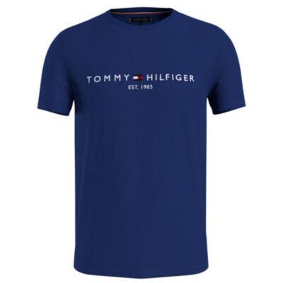 Men's Tommy Hilfiger T-Shirts | Shop Now | ejmenswear.com