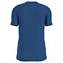 CK Jeans Disrupted T-Shirt Blue