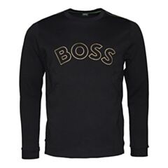 BOSS Salbo Iconic Sweatshirt In Black