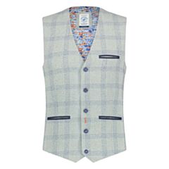Fish Named Fred Linen WC Grey/Blue Check