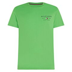 Tommy Hilfiger Brand Love Small logo T-S