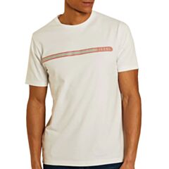 Diesel Fiorello Tee In Optic White