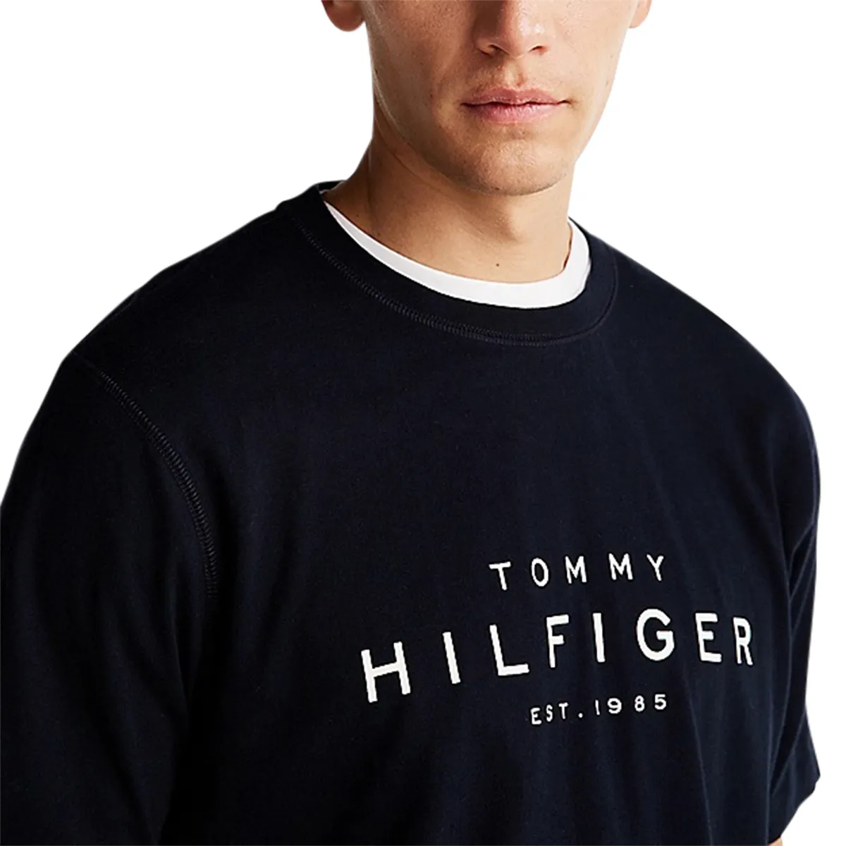 Tommy Hilfiger Big Hilfiger T-Shirt Dese