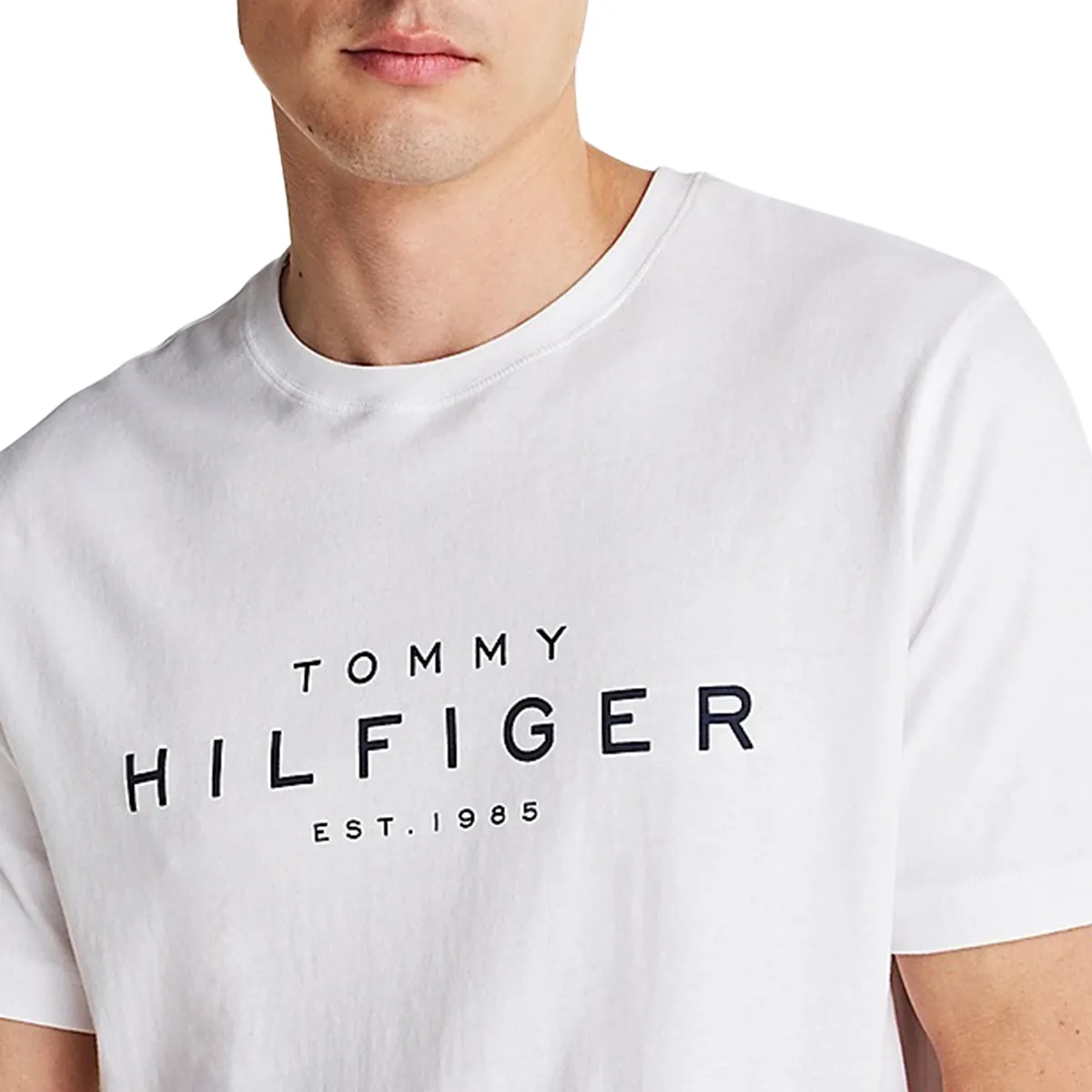 Tommy Hilfiger Big Hilfiger T-Shirt Whit