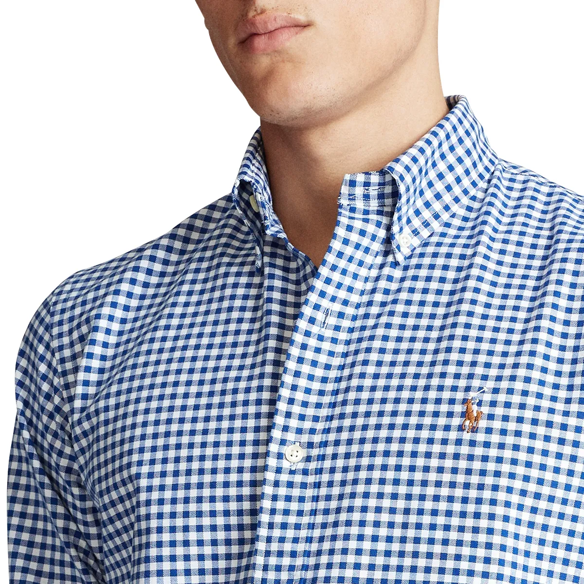 Ralph Lauren Custom Fit Gingham Shirt Bl