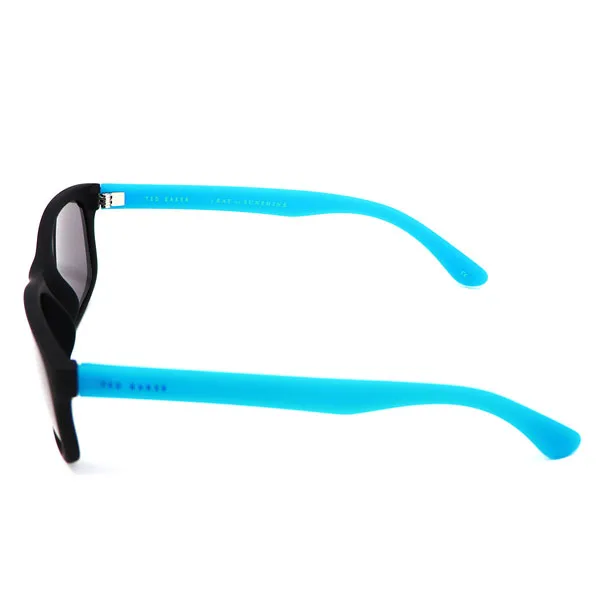 Ted Baker Winslow Sunglasses Blue