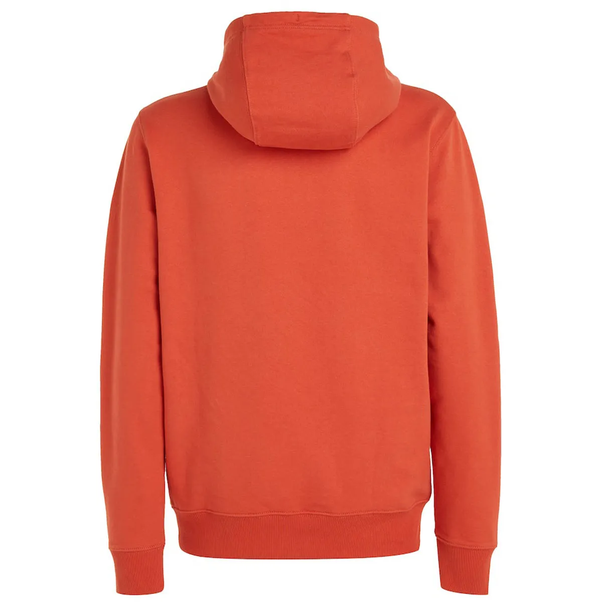 Tommy Jeans Graphic Hoodie Burnt Vermill