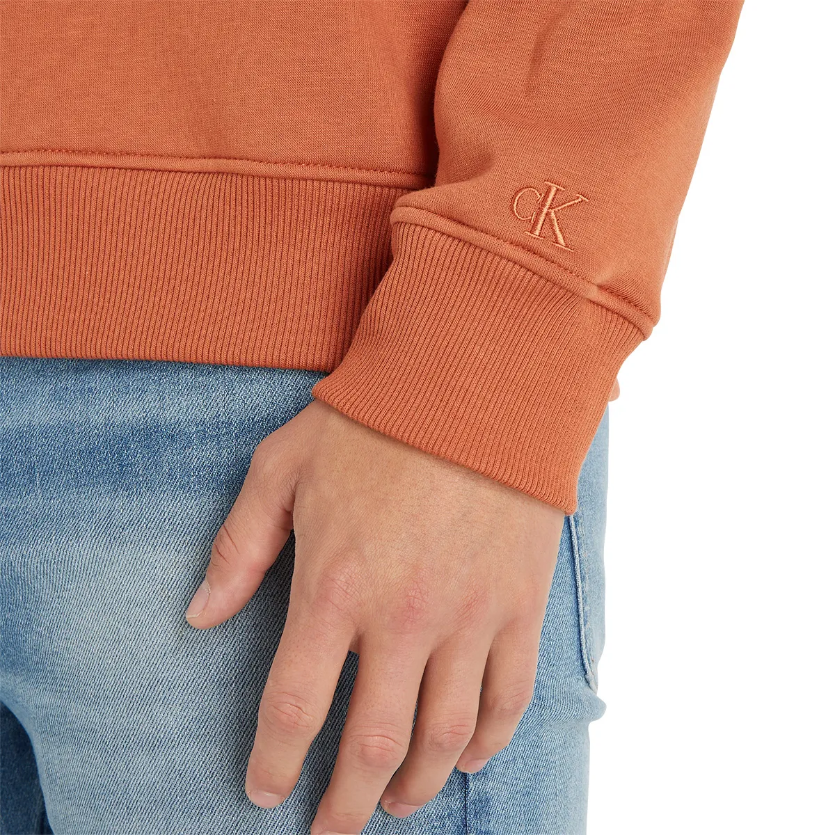 Calvin Klein Monologo Hoodie Auburn