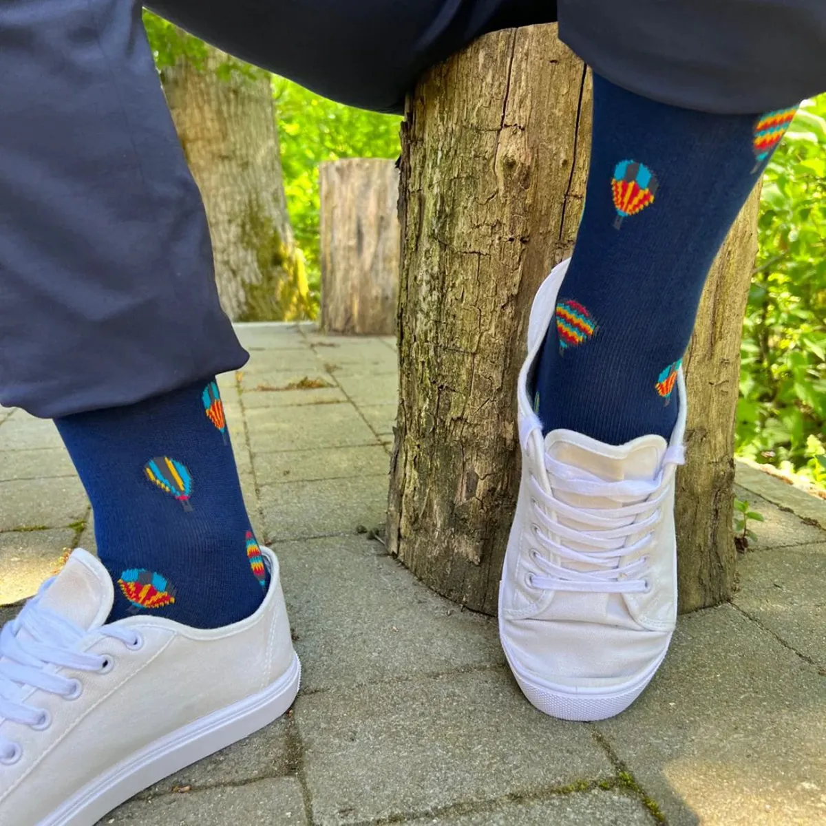 Swole Panda Hot Air Balloon Socks Navy