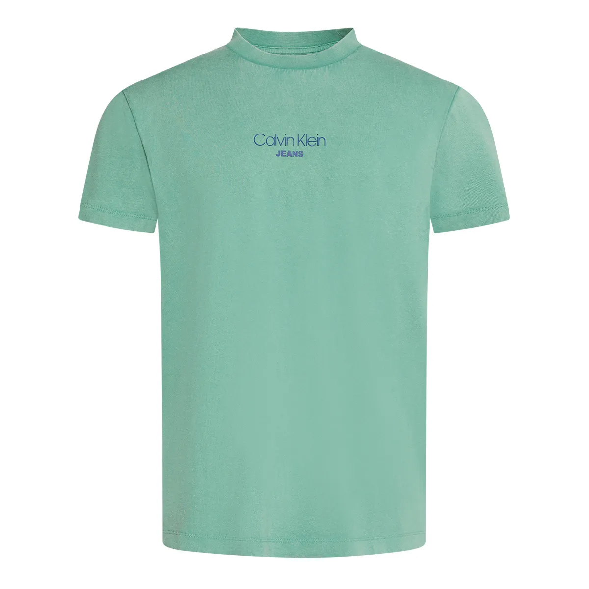 Calvin Klein SS Acid Wash T-Shirt Wild Green