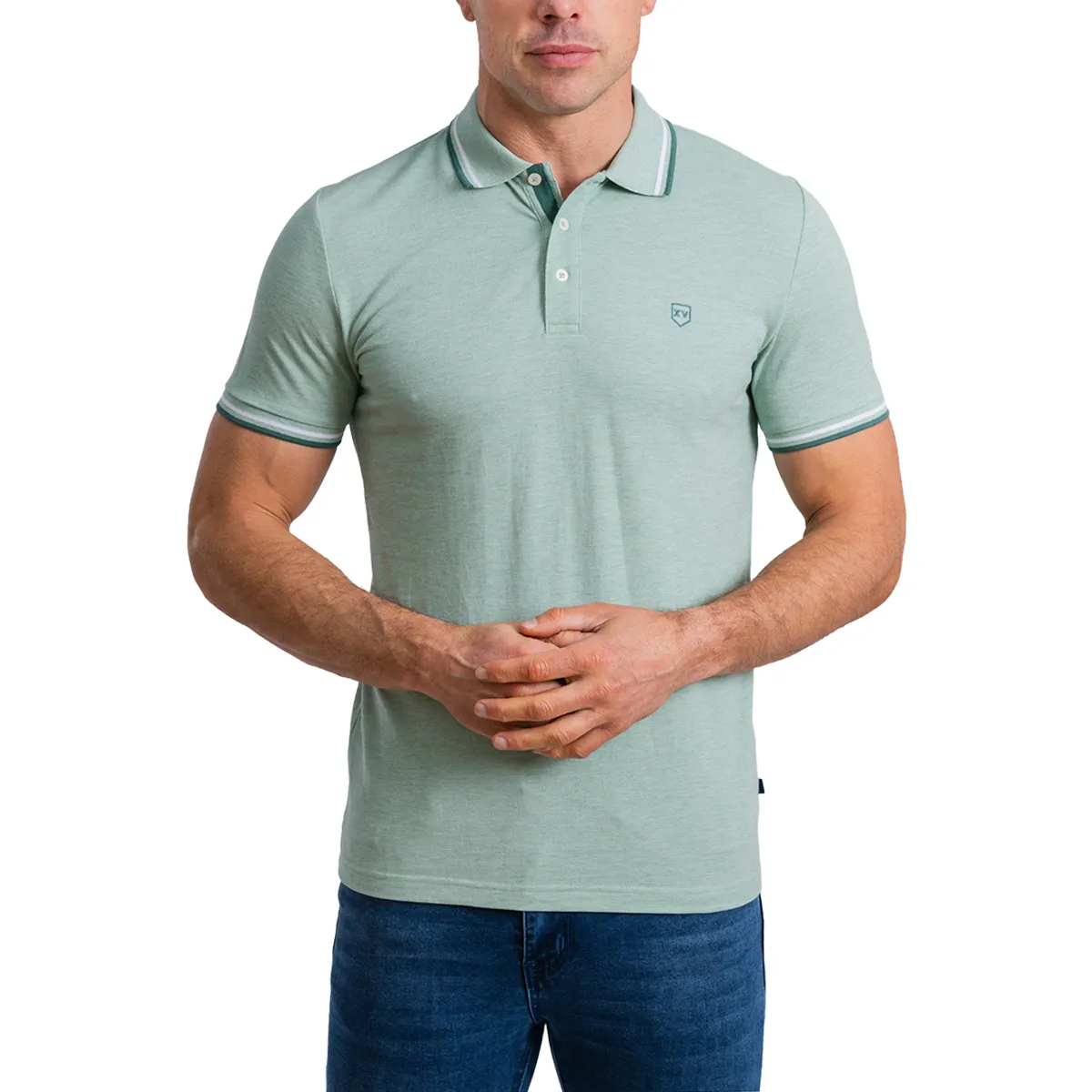 XV Kings SS Woodville Tipped Polo Aloe Haze