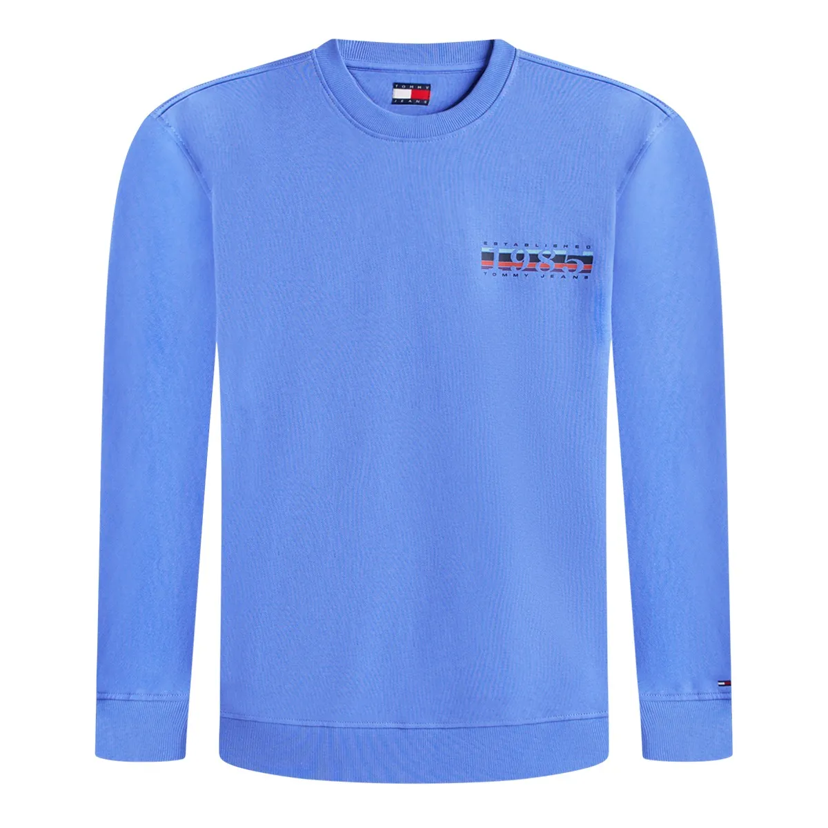 Tommy Jeans Reg Entry DNA Crew Neck Light Blue